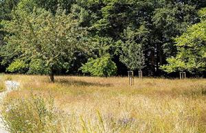 Blakedown